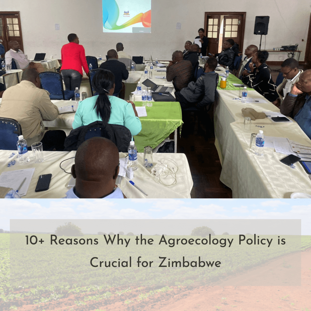 10+ Reasons Why the Agroecology Policy is Crucial for Zimbabwe