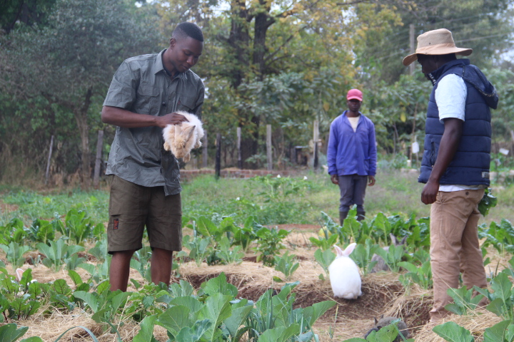 Young Men Volunteer to Act Against Climate Change