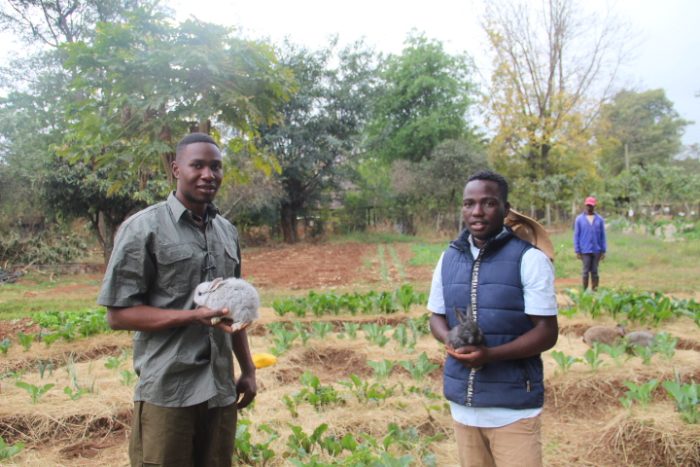 Young Men Volunteer to Act Against Climate Change