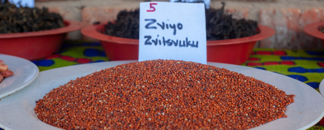 Working together with Zimbabwe’s young farmers in the revival of the ancient wisdom of traditional grains.