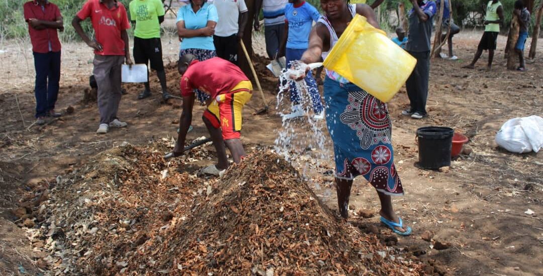 Bocashi-making skills training ignites hope for soil fertility restoration in Mbire