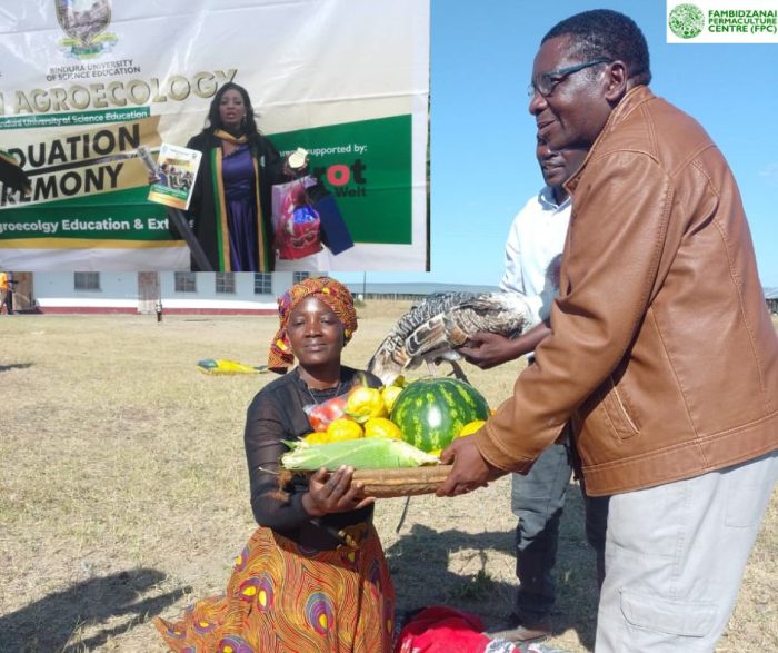 Former Student Champions Grassroots AE Learning in Mhondoro-Ngezi