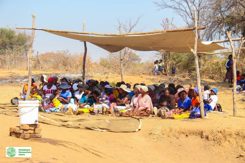 Agroecology-based Farming Thrives in Nyanga’s Nutritional Garden Projects