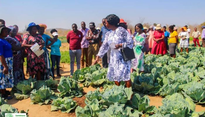 Agroecology-based Farming Thrives in Nyanga’s Nutritional Garden Projects