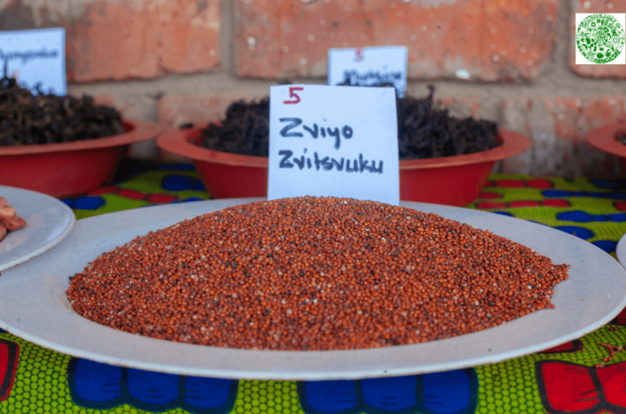 Increasing Resilience of Resource Poor Farmers Through Seed Sovereignty